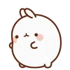 🐰