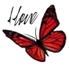 🦋