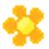 🌼