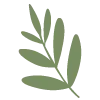 🌿
