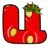 🌺