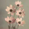 🌺