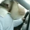 🏎