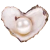 🐚