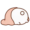 🐰