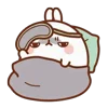 🐰