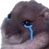😢