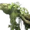 🌿