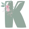 🌺
