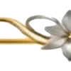 🌼