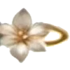 🌼