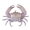 ⭐