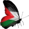 🇵🇸