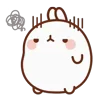 🐰
