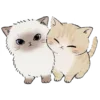 🐈