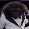 🤵
