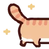 🐱