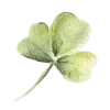 ☘️