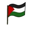 🇵🇸