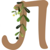 🌿