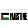 🇵🇸