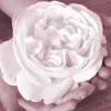 💕