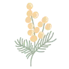 🌼