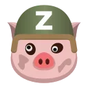 🐷