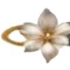 🌼