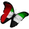 🇵🇸