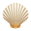 🐚