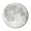 🌙