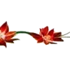 🌺