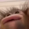 🤒