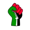 🇵🇸