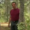 🌲
