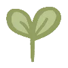 🌱