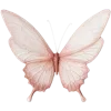 🦋