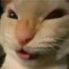 😄