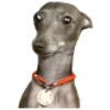 🌚