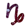 ♑️
