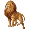 🦁