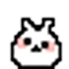 🐰