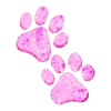 🐾