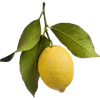 🍋