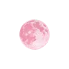 🌓