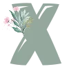 🌺