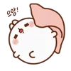 🐰
