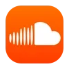 🎵