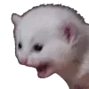 😱